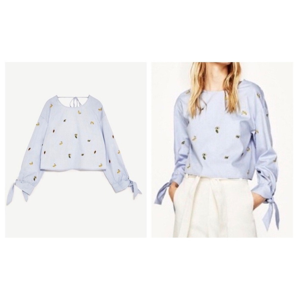 Zara Basic Blue Striped Fruit Embroidered Open Back Bow Crop Top Blouse Small